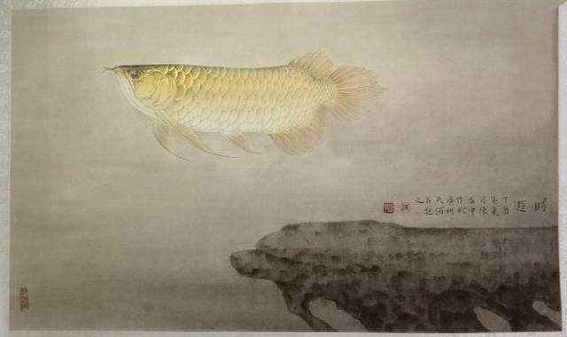 形容龍魚的詩句：關(guān)于龍魚的詩句 龍魚百科 第2張