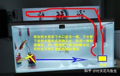 側濾魚缸過濾棉怎樣放：側濾魚缸的過濾棉放置方法主要有以下幾個步驟 魚缸百科 第4張