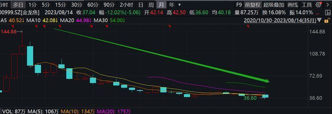 金龍魚下跌：金龍魚是否下跌 龍魚百科 第1張