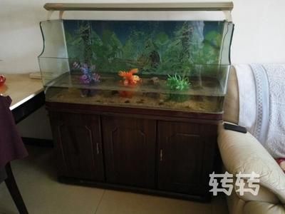 搬家送魚缸好不好：搬家送魚缸好不好取決于多個因素 魚缸百科 第1張