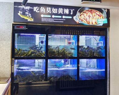 巴南哪里有魚(yú)缸賣的實(shí)體店：巴南區(qū)有哪些魚(yú)缸實(shí)體店？ 魚(yú)缸百科 第1張