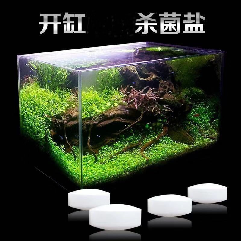 徹底清洗魚缸重新開(kāi)缸多久好：如何徹底清洗魚缸？ 魚缸百科 第1張