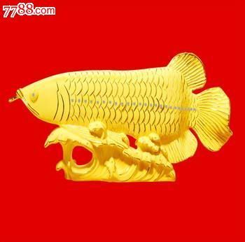 金龍魚(yú)熱線：金龍魚(yú)熱線電話 龍魚(yú)百科 第2張