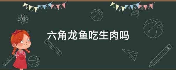 龍魚吃生肉嗎：龍魚可以吃生肉嗎，