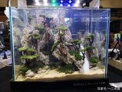 大魚缸可以造景嗎：大魚缸如何造景 魚缸百科 第3張