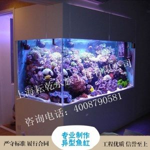 除了玻璃魚缸還有什么魚缸：塑料魚缸、鋼化玻璃魚缸、有機(jī)玻璃魚缸 魚缸百科 第3張