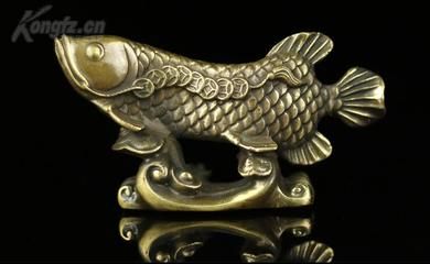 家里養(yǎng)龍魚(yú)的風(fēng)水寓意和象征 龍魚(yú)百科 第2張