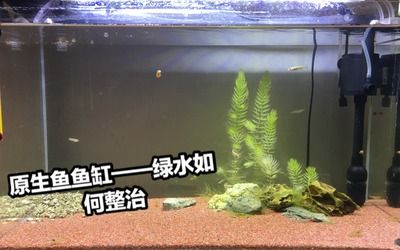 不用了的魚缸怎么處理好：不用的魚缸可以根據(jù)其狀況和用途進(jìn)行不同的處理方式 魚缸百科 第2張