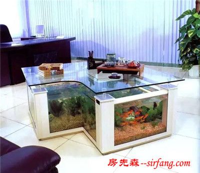 玻璃小魚缸養(yǎng)什么魚好：哪些魚適合在玻璃小魚缸中飼養(yǎng)？ 魚缸百科 第3張