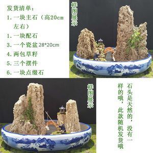 瓷盆魚缸造景圖：關(guān)于瓷盆魚缸造景的一些信息 魚缸百科 第4張