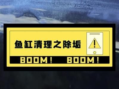 大魚缸怎么清理底部水垢：如何清洗大魚缸水垢？ 魚缸百科 第2張