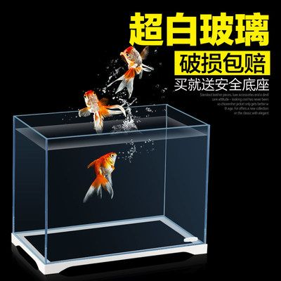 斗魚缸可以放什么水草：如何選擇斗魚缸？ 魚缸百科 第1張