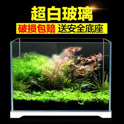 斗魚缸可以放什么水草：如何選擇斗魚缸？ 魚缸百科 第4張