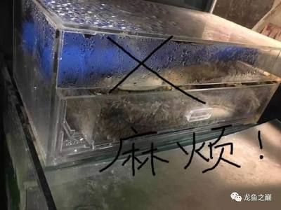 別人送的舊魚缸有啥忌諱的：別人送的舊魚缸不能隨意送給別人 魚缸百科 第3張