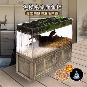 斗魚魚缸布置：關(guān)于斗魚魚缸布置的建議 魚缸百科 第4張