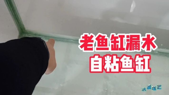 大魚缸漏水了人進(jìn)不去怎么修補視頻：大魚缸漏水怎么辦？ 魚缸百科 第4張