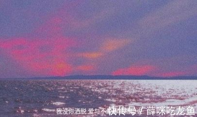 龍魚文案如何吸引人：如何讓龍魚文案吸引人 龍魚百科