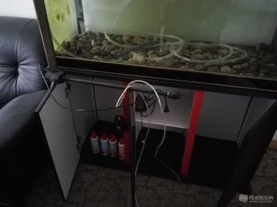 大魚缸還需要加氧氣嗎：大魚缸加氧氣泵取決于多種因素，專業(yè)人士的意見并建議 魚缸百科 第4張