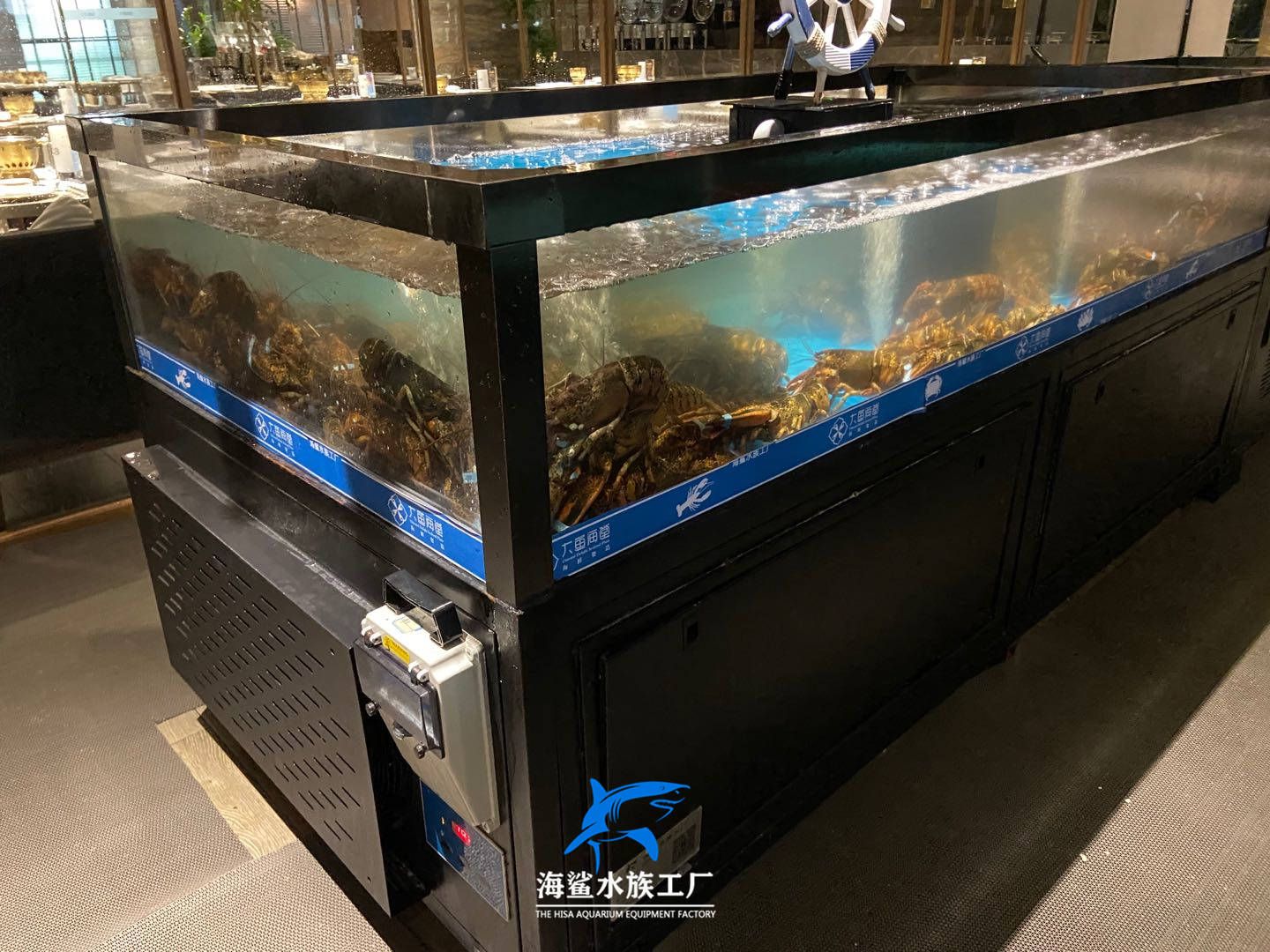 出售二手海鮮魚缸違法嗎