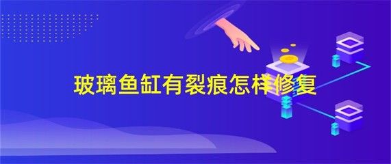 玻璃魚(yú)缸有裂痕如何修復(fù)視頻：玻璃魚(yú)缸出現(xiàn)裂痕怎么辦 魚(yú)缸百科 第4張