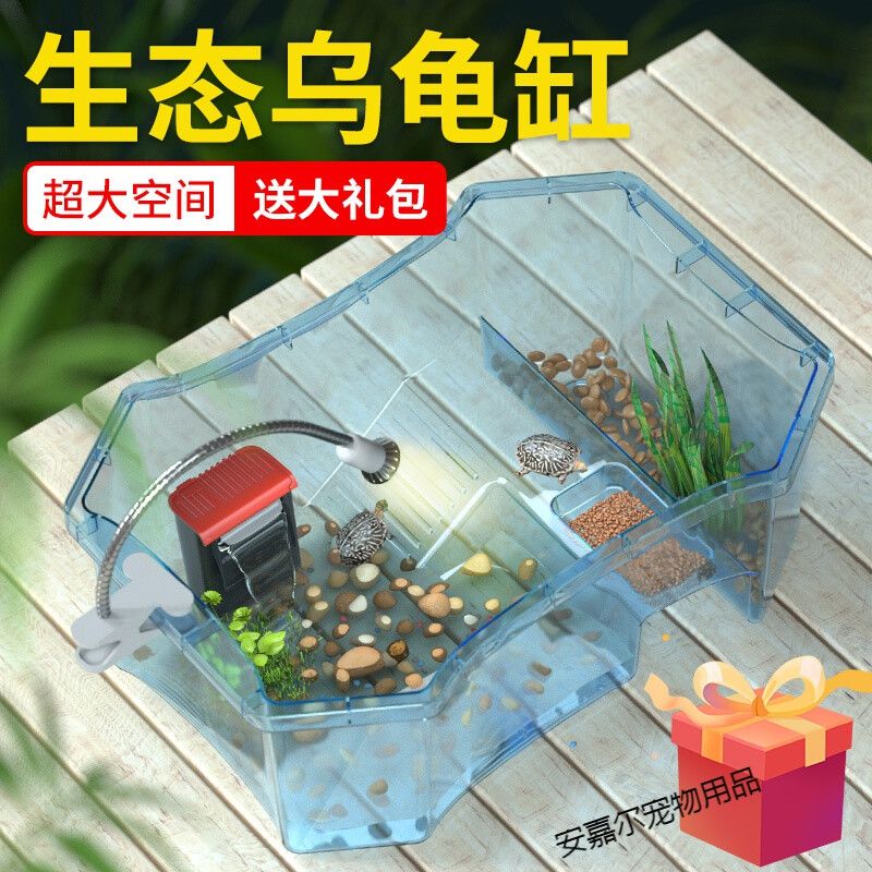 大型家用魚缸尺寸一般多少：大型家用魚缸尺寸選擇指南 魚缸百科 第4張