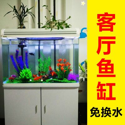 冬天怎么給魚缸換水：冬天給魚缸換水的注意事項 魚缸百科 第4張