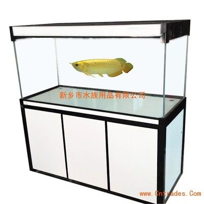 定做1米魚缸多少錢一個(gè)：定做1米魚缸價(jià)格 魚缸百科 第1張