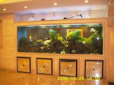 大型魚(yú)缸多少錢一個(gè)合適家用：大型魚(yú)缸價(jià)格僅供參考，除了價(jià)格和銷售渠道，還需要考慮以下幾點(diǎn) 魚(yú)缸百科 第1張