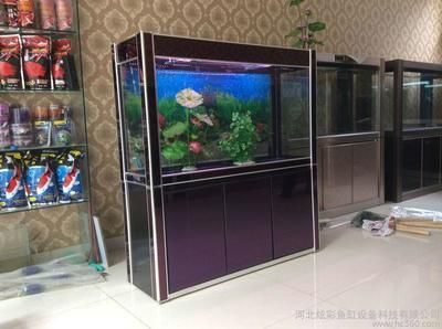 大型亞克力魚缸定制廠家直銷：上海科夢水族科技供應大型亞克力魚缸定制廠家