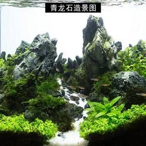 超小型魚缸造景圖：水草造景入門指南 魚缸百科 第2張