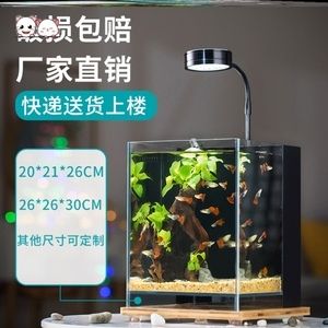 不插電過濾水魚缸好嗎：不插電過濾水魚缸是否好 魚缸百科 第4張