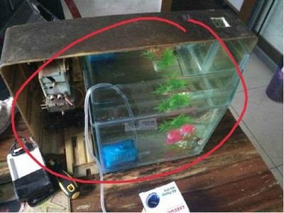 安彩魚缸過濾器怎么樣安裝的：安彩魚缸過濾器的安裝方法 魚缸百科 第3張