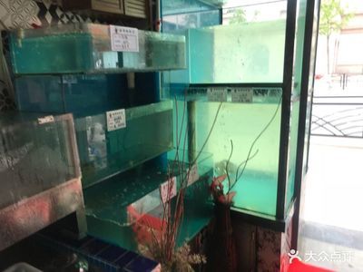 百盛魚(yú)缸怎么樣：建湖百盛玻璃制品有限公司投訴百盛魚(yú)缸質(zhì)量問(wèn)題