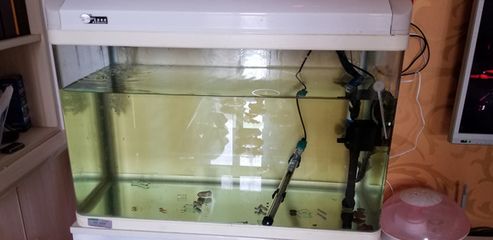 處理二手魚缸：二手魚缸處理二手魚缸的處理方法有哪些 魚缸百科 第3張