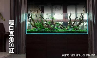 川沙哪里有賣魚缸的實體店鋪：川沙地區(qū)售賣魚缸的一些實體店鋪：百聯(lián)川沙購物中心 魚缸百科 第1張