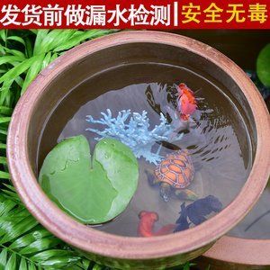 大水缸做魚缸可以嗎：大水缸養(yǎng)魚的技巧