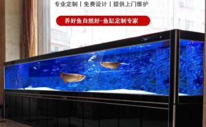 大型魚缸設計和制作方法視頻教學：大型魚缸的設計與制作 魚缸百科 第4張