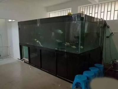 大型魚缸設計和制作方法視頻教學：大型魚缸的設計與制作 魚缸百科 第3張