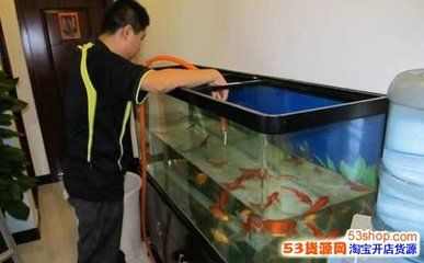 搬家魚缸和魚怎么處理干凈：搬家魚缸搬家注意事項在魚缸搬運過程中需要注意什么 魚缸百科 第1張