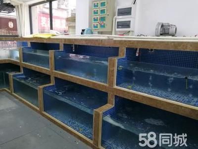 超市魚缸制作：海鮮魚缸的選擇 魚缸百科 第3張