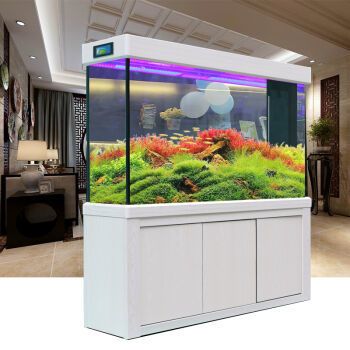 超白金晶魚缸品牌：知名超白金晶魚缸品牌