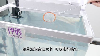 大型魚缸漏水水怎么處理好：大型魚缸漏水怎么辦 魚缸百科 第4張