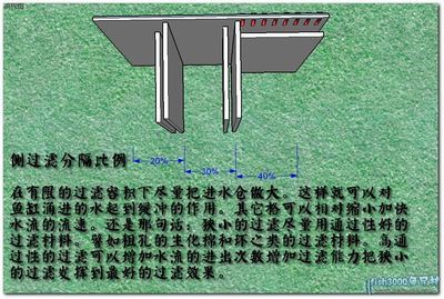 側(cè)過濾魚缸制作：側(cè)過濾魚缸怎么做？ 魚缸百科 第3張