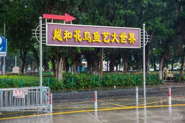 芳村花草蟲鳥市場：廣州芳村花草蟲鳥市場 廣州水族批發(fā)市場 第3張