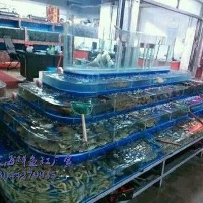 廣州百藝城有賣魚嗎多少錢一條：廣州百藝城觀賞魚批發(fā)市場價格