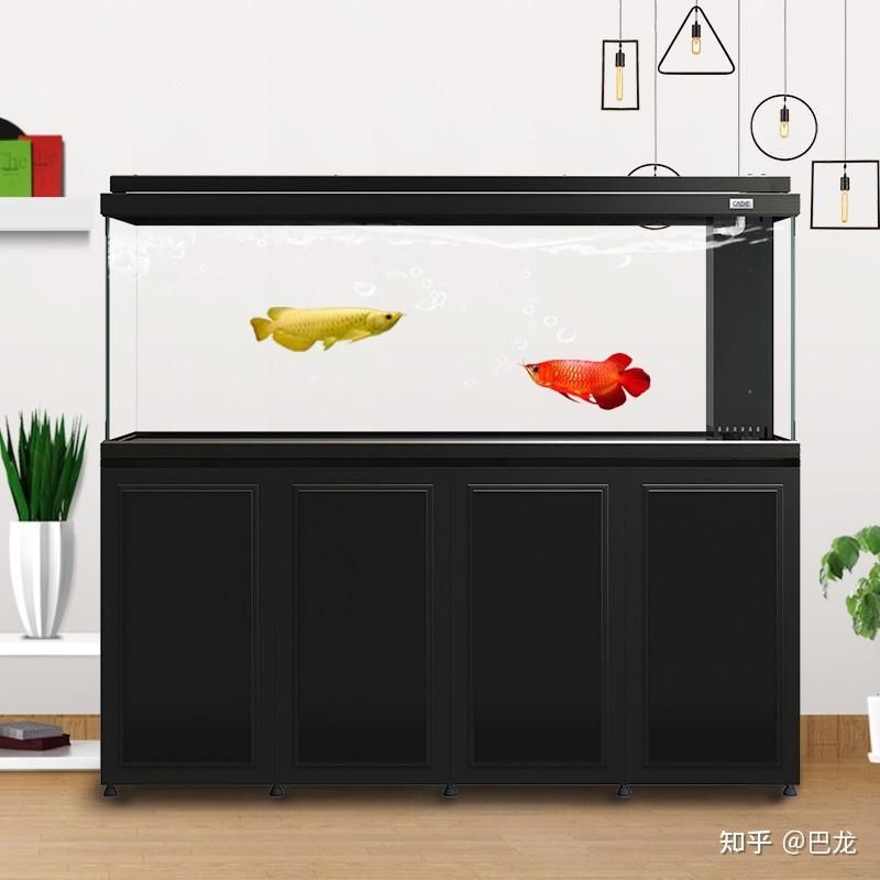 高端魚缸品牌推薦知乎：高端魚缸十大品牌推薦 魚缸風(fēng)水 第3張