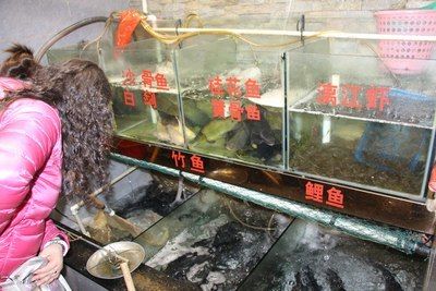 廣佛花魚之家是哪里的品牌店：廣佛花魚之家(廣佛花魚之家)