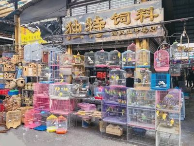 芳村花鳥魚蟲市場(chǎng)新世界 2023春節(jié)營(yíng)業(yè)時(shí)間