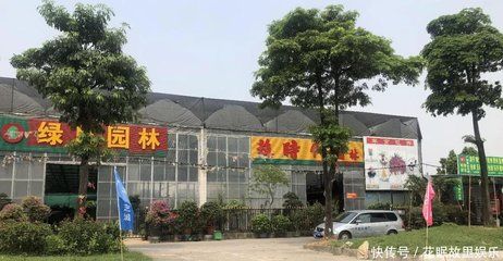 芳村花卉世界 廣州水族批發(fā)市場(chǎng) 第3張