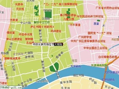 芳村花鳥魚市開業(yè)了嗎今天：芳村花鳥魚蟲市場已經完成搬遷 廣州水族批發(fā)市場 第3張